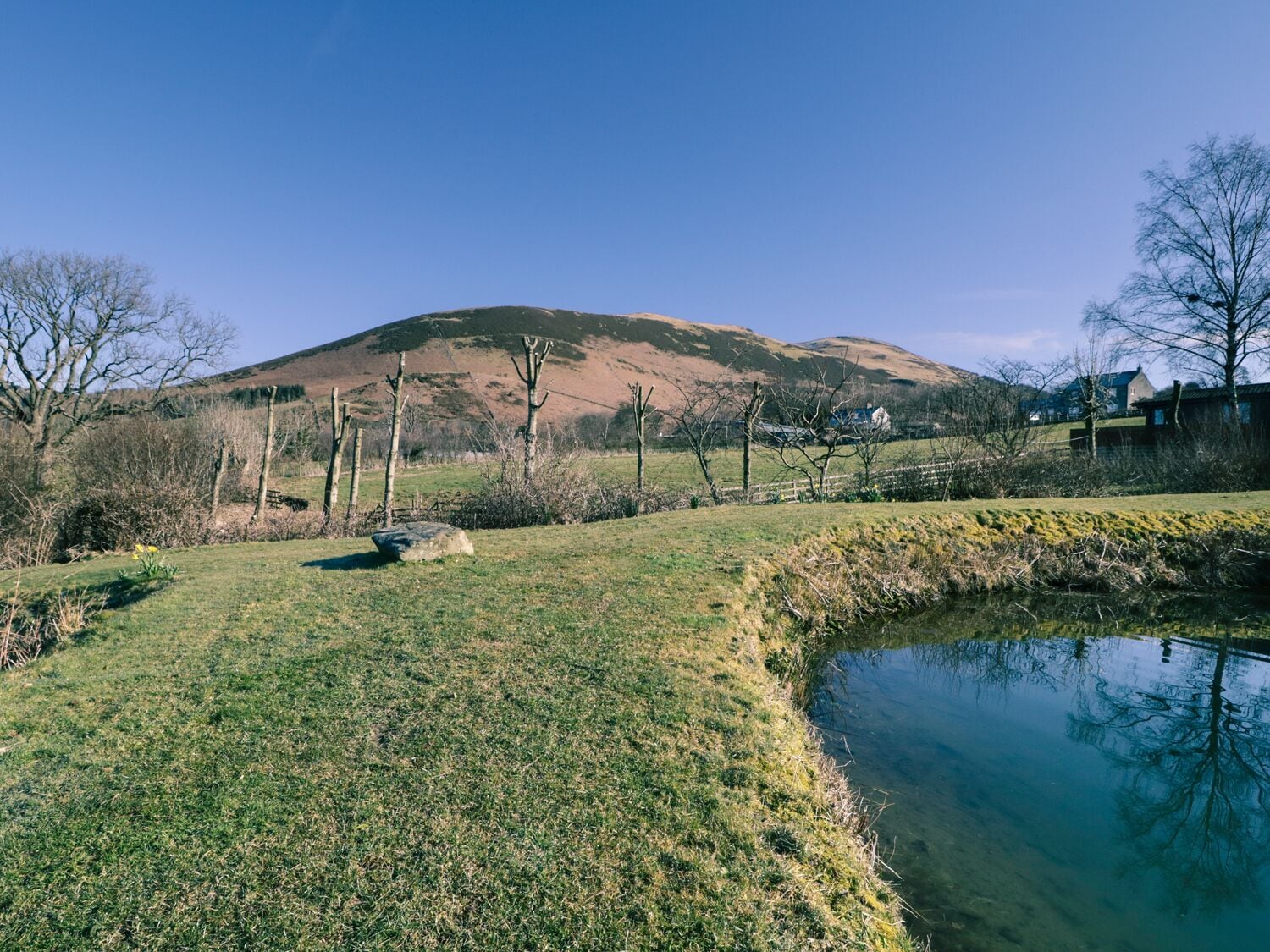 Un paysage rural avec un étang, des zones herbeuses et une colline en arrière-plan.