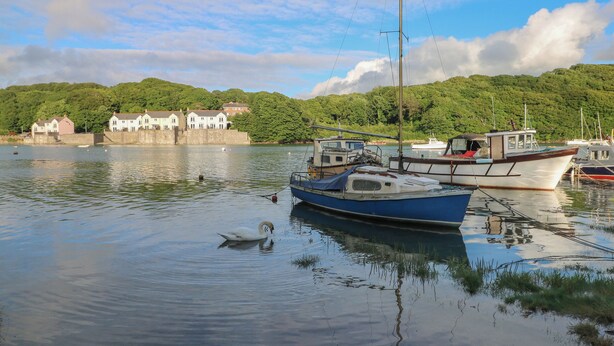 Ein ruhiger Hafen mit vertäuten Booten, ein Schwimmender Schwan und Häuser im Hintergrund.