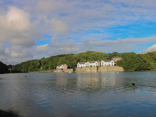 A waterfront property with a stone wall, a row of houses, and a forested hill in the background. - Goldfinch (Milford Haven)