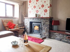 Un salón acogedor con chimenea de piedra, un sillón cómodo, un cojín rojo, una mesa de centro de madera con vasos y una botella, y un televisor sobre un mueble.