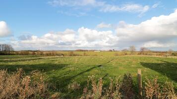 Ferienhaus | Badezimmer | Dusche