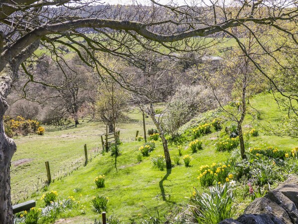 A rural landscape with a grassy field, trees, and a wooden fence. - Honey Bee Cottage (Scarborough)