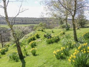 Surrounded by a lush landscape of daffodils and trees, this property offers a serene escape amidst nature.