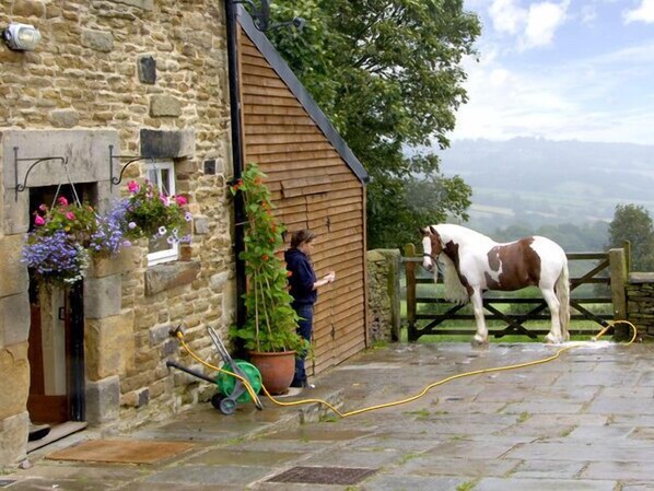 Un edificio de piedra con puerta de madera, una manguera y un caballo al fondo.