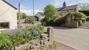 Une rue de campagne bordée de murs et de maisons en pierre, un ciel dégagé et, au premier plan, des fleurs violettes.