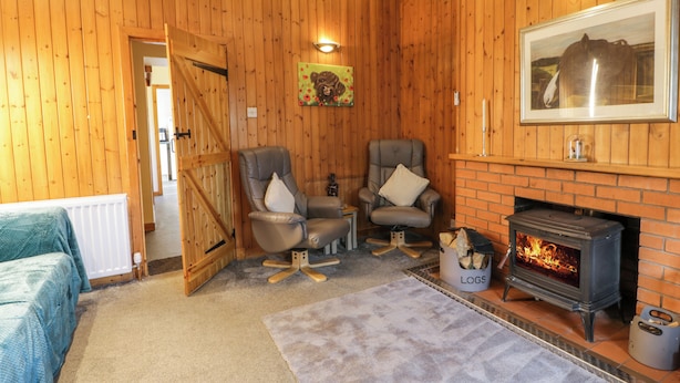 A cozy room with wooden walls, a fireplace, two armchairs, a radiator, and a framed picture on the wall. - Rose Cottage (Stranraer)
