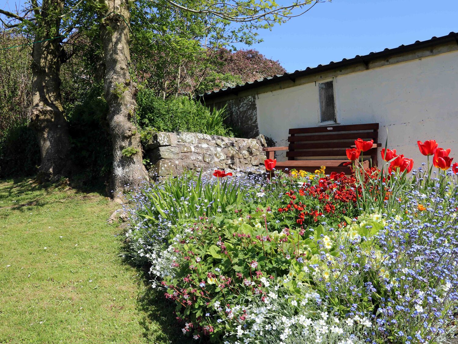 A garden with a stone wall, a bench, and a variety of flowers.
