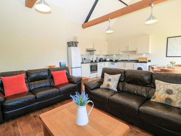 电视、DVD 播放器、桌上足球