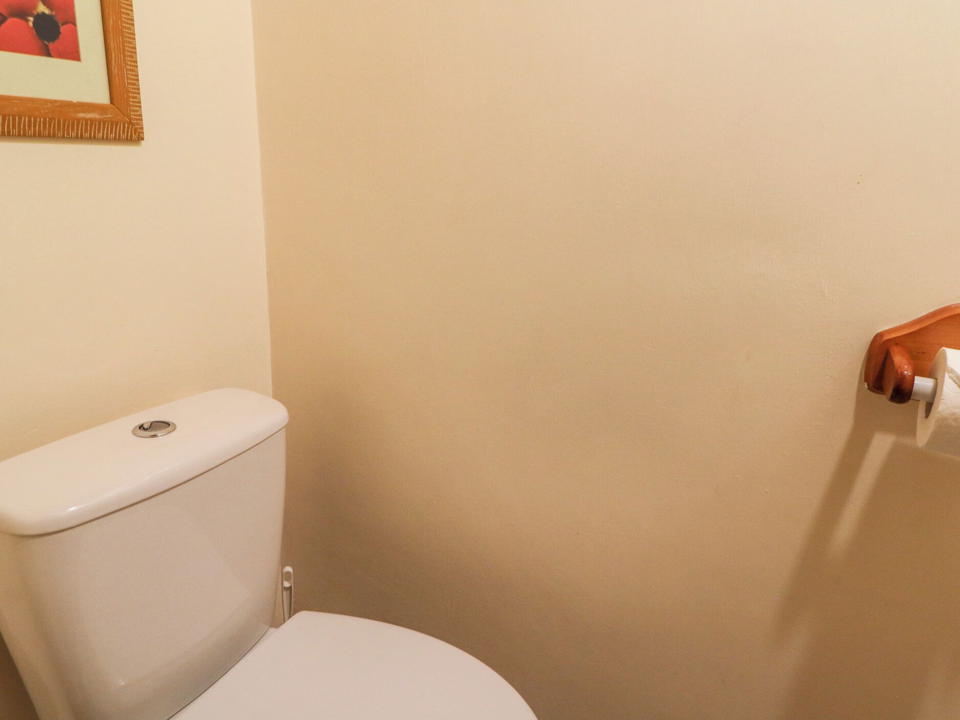 A bathroom with a white toilet, a wooden-framed picture on the wall, and a toilet paper holder.
