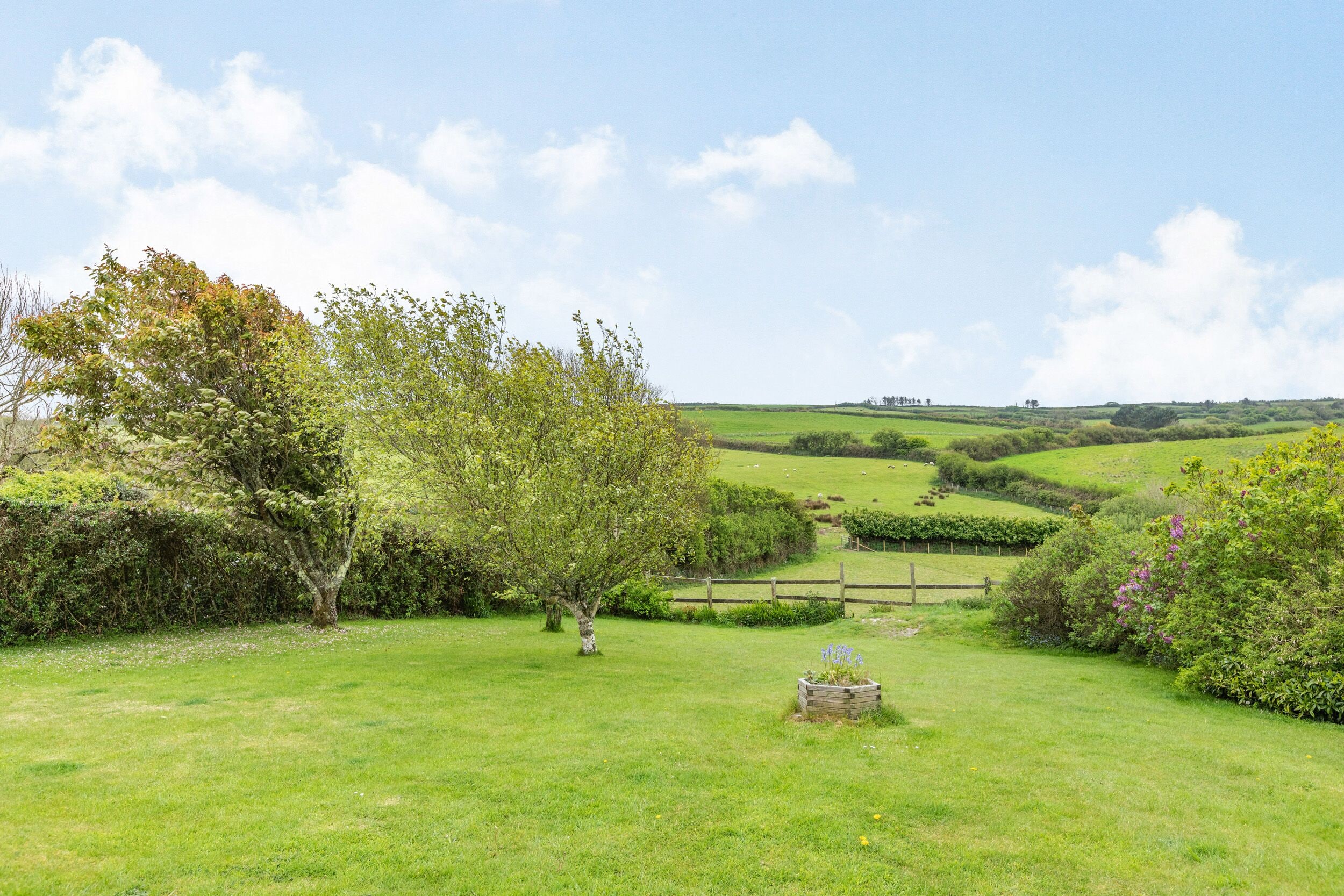 A grassy field with a tree and a wooden fence.
