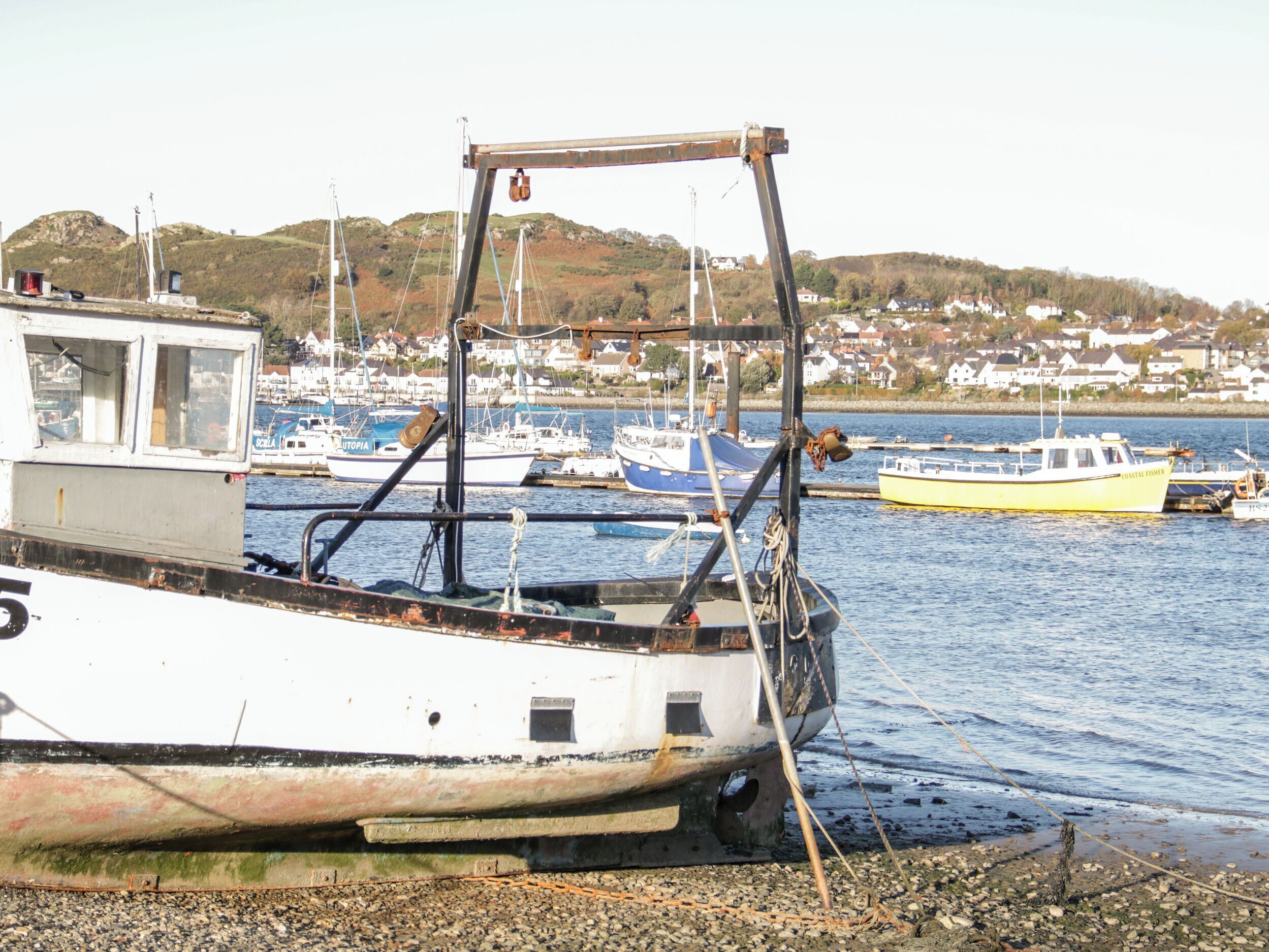 A boat docked at a harbor with a rocky shore and houses in the background.