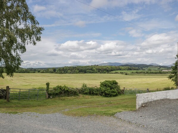 A rural landscape with a grassy field, a stone wall, and a metal gate. - The Dairy (Newton Stewart)
