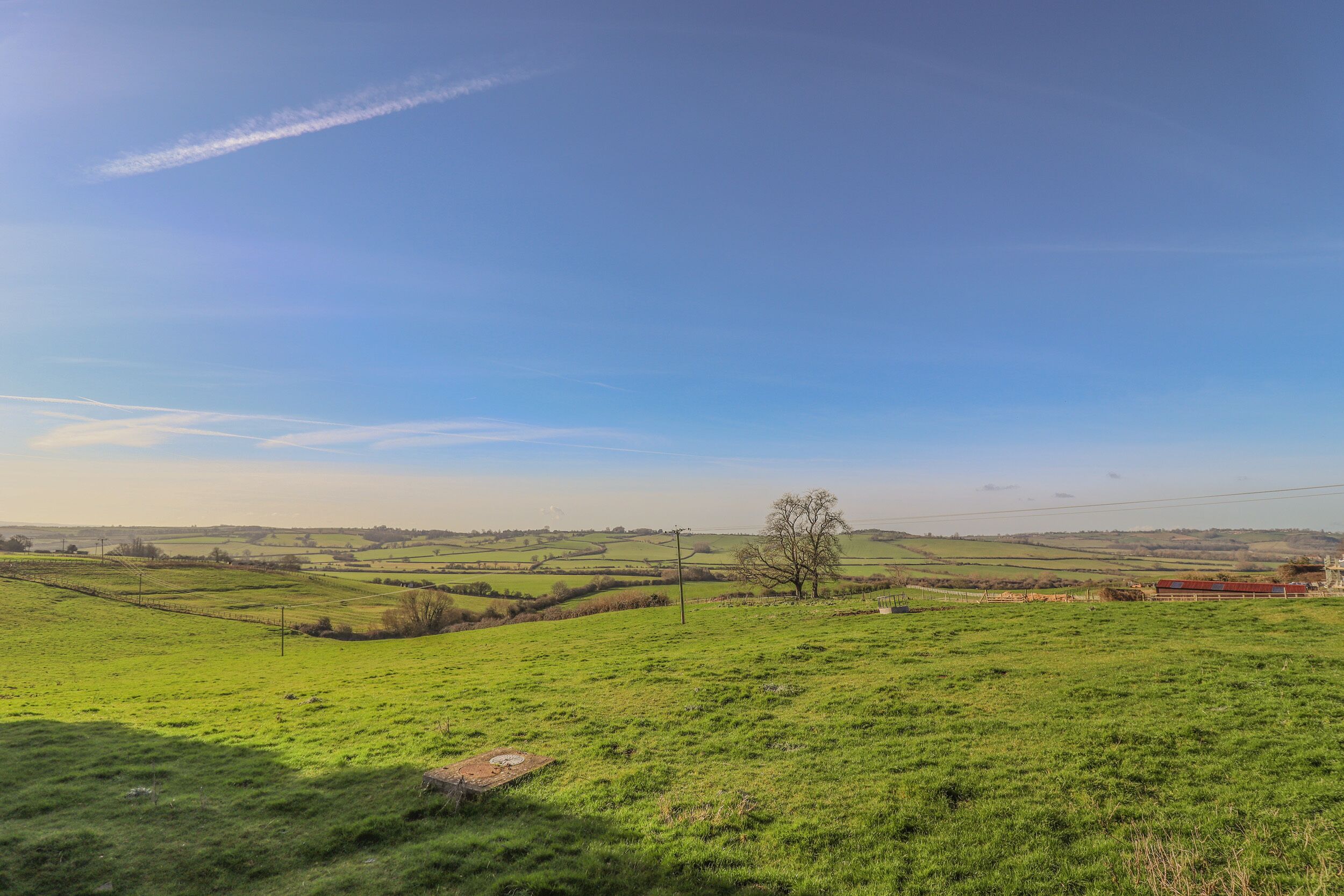 A rural landscape with rolling green fields, a solitary tree, and distant farm buildings.