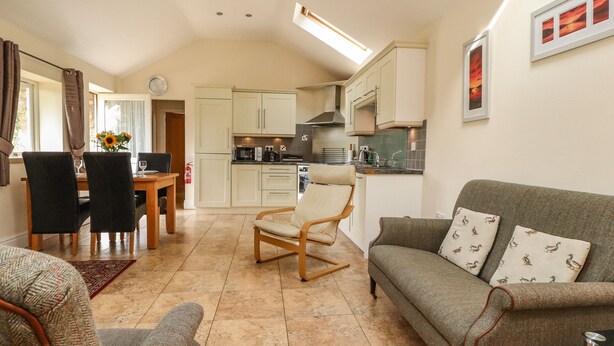 A cozy living room with a sofa, chairs, a dining table, and a kitchen area with cabinets and appliances.