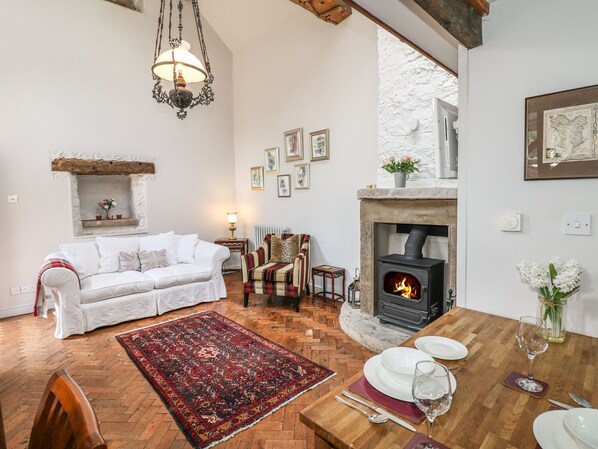 Cottage | Living room | TV, fireplace, DVD player - The Studio (Ashbourne)