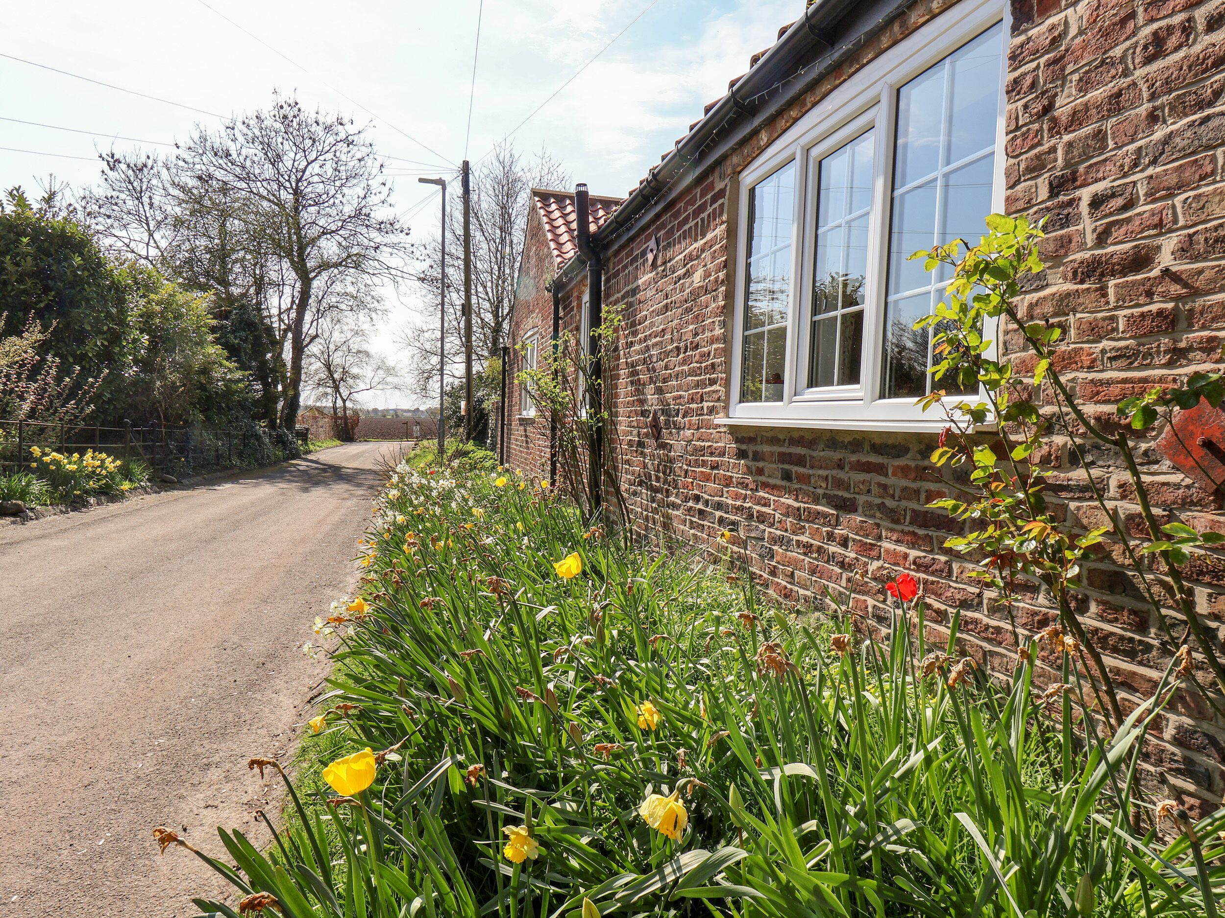 A brick house with a window overlooking a garden with daffodils.