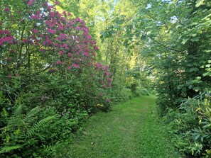 Stroll through lush gardens along a well-maintained pathway surrounded by vibrant flowering bushes.