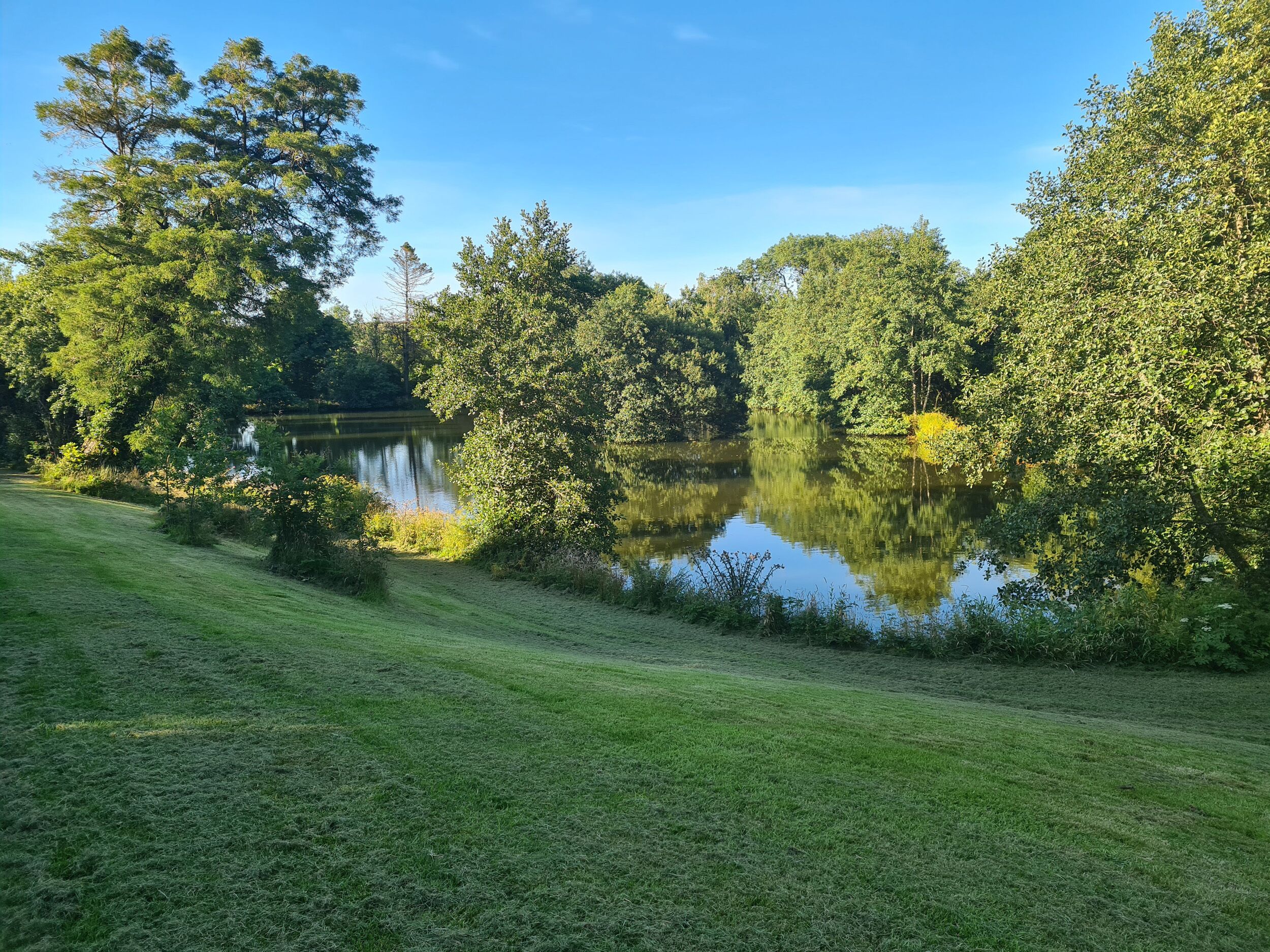 A serene lakeside park with a well-maintained grassy area and dense trees.