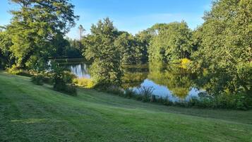 A serene lakeside park with a well-maintained grassy area and dense trees.
