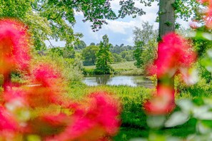 Casa de campo | Interior