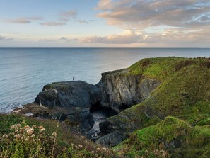 Cottage | Miscellaneous - Fern Cottage (Cardigan)