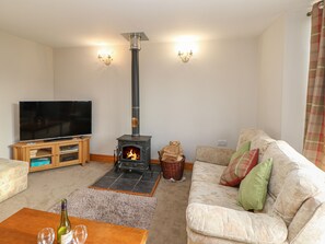 Chimenea, reproductor de DVD