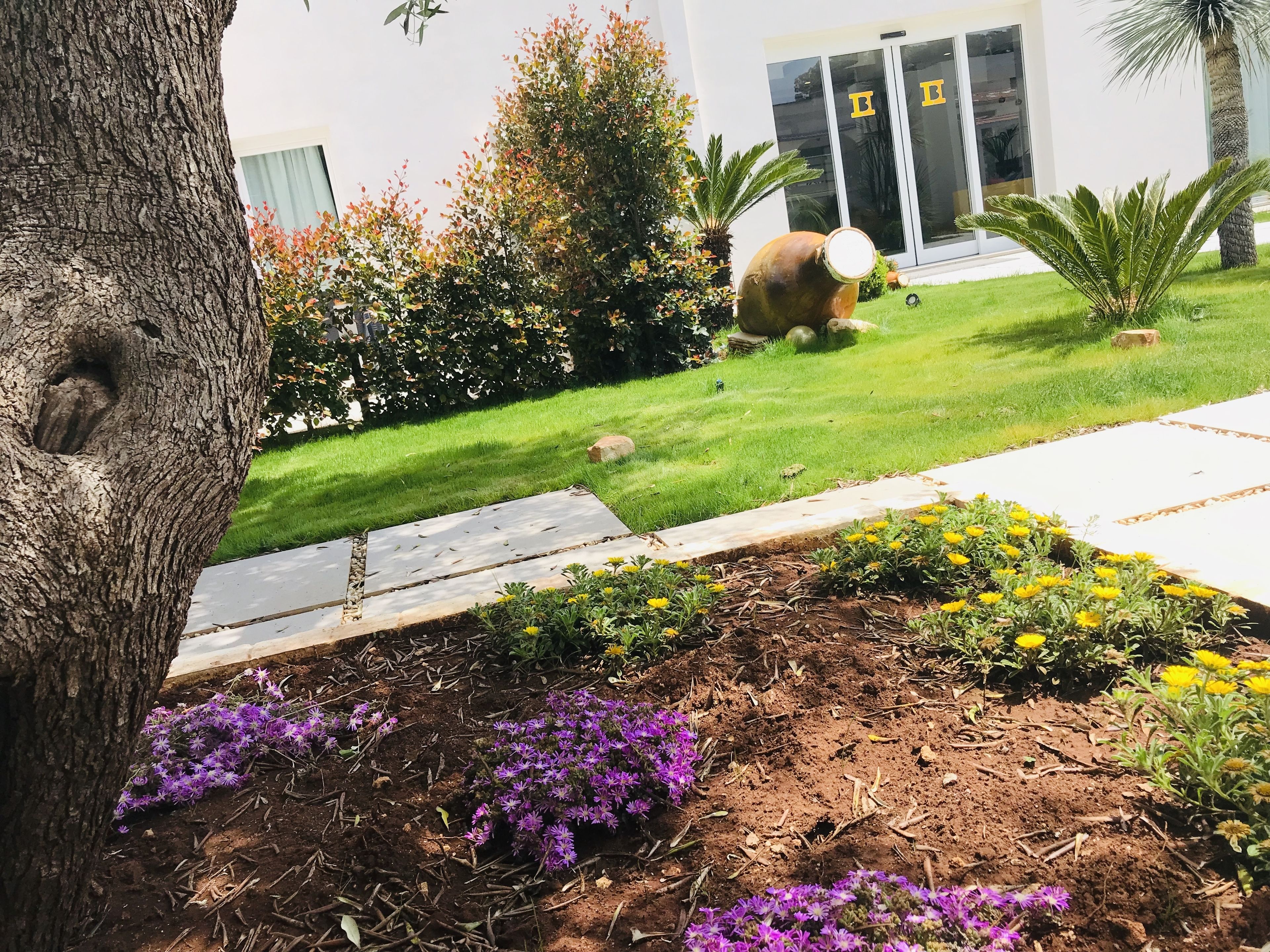 A landscaped garden with a variety of plants and flowers, a large tree, and a building with glass doors in the background.