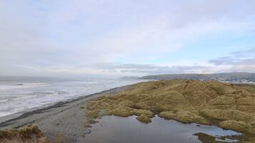 A coastal landscape with a beach, grassy dunes, and a distant town.