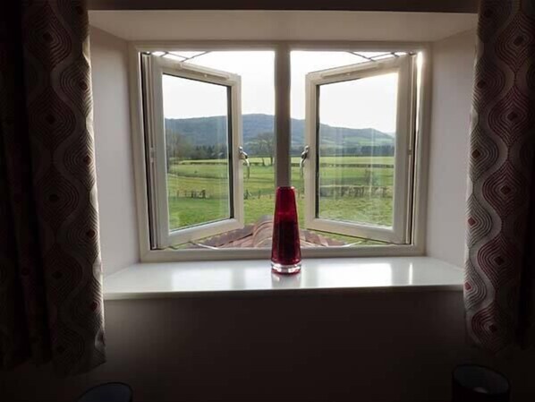 A window with a view of a green field and mountains. - Rose Cottage (Hereford)