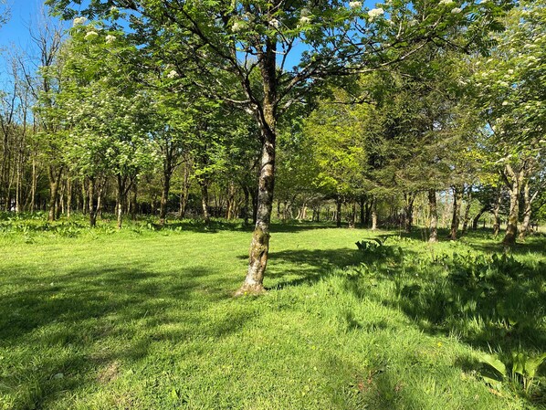 Casa de campo | Área da propriedade