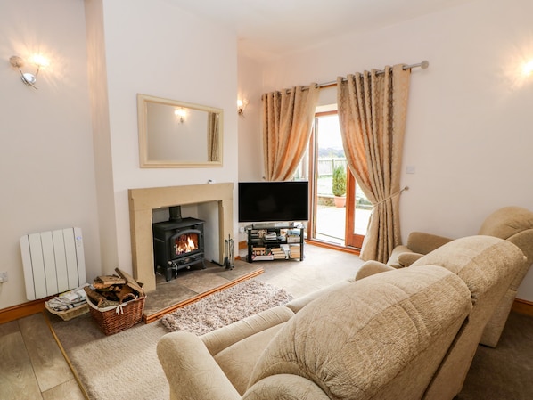 Chimenea, reproductor de DVD