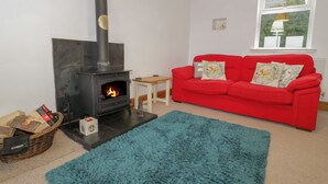 A living room with a fireplace, a red sofa, a blue rug, and a small wooden table. - Hen Stabl (Llanrwst)