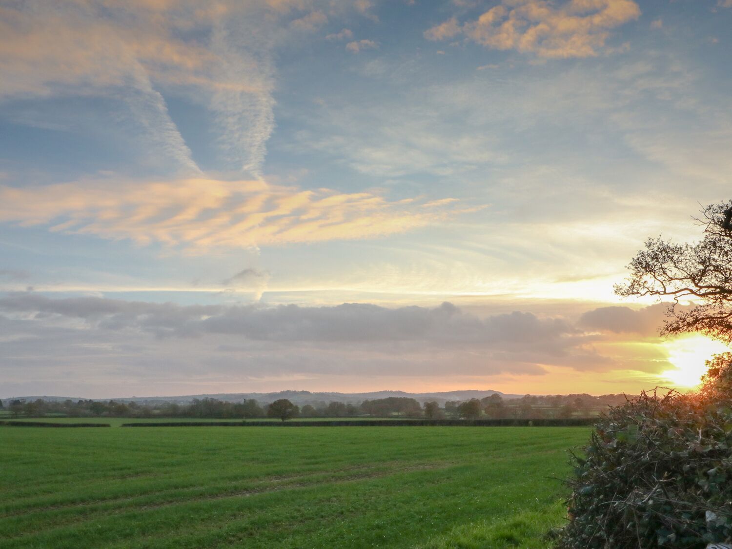 Un paysage rural avec un champ, un arbre et un coucher de soleil.