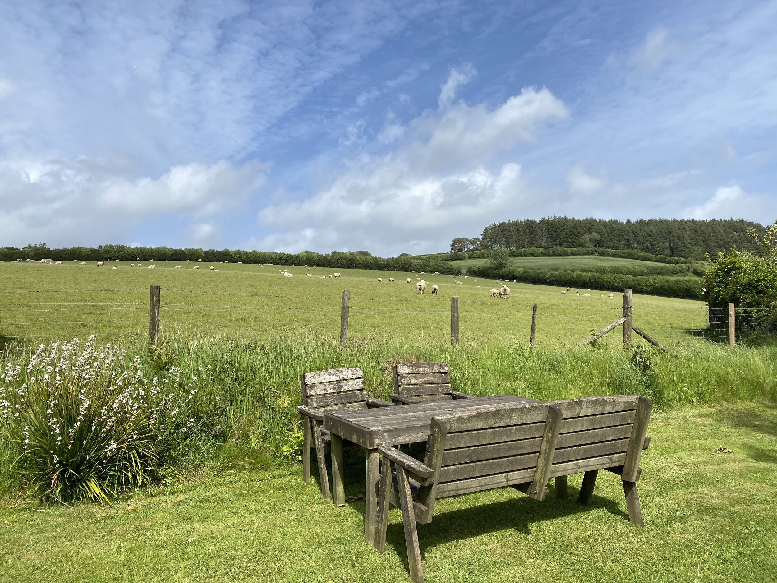 A grassy field with a wooden bench and a table, surrounded by a fence.