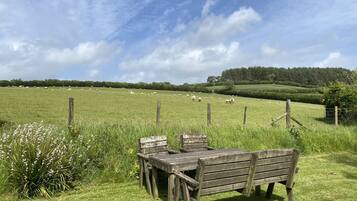 A grassy field with a wooden bench and a table, surrounded by a fence.