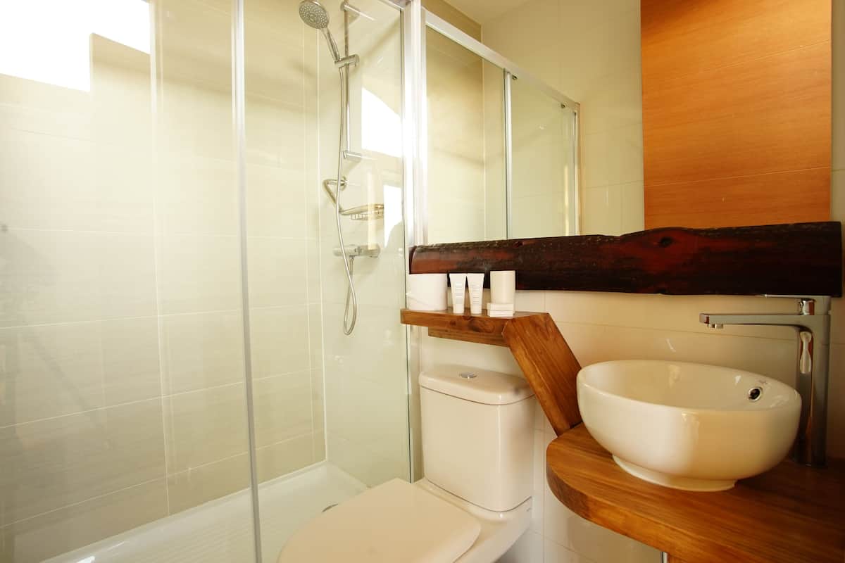 shower, rainfall showerhead, free toiletries, hair dryer