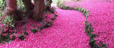 Cottage | Intérieur