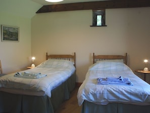 Cozy bedroom with two single beds, each with a wooden headboard and nightstand, and a sloping ceiling with exposed beams.
