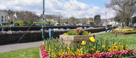 A flower bed with tulips and daffodils, a stone wall, and a street with parked cars and houses in the background.