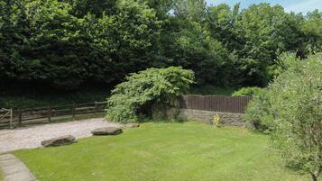 A grassy yard with a stone wall, a wooden fence, and dense trees.