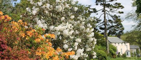 Casa de campo | Áreas de la propiedad