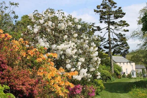 Cottage | Property grounds