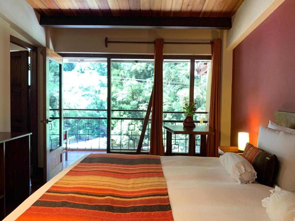 A hotel room with a large bed, a view of greenery through the window, and a small table with a plant.