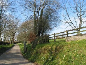 Stroll along the tranquil Tavistock lane, lined with lush greenery and a historic stone wall.