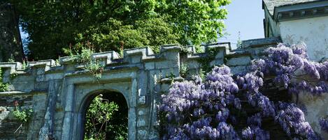 Cottage | Property grounds