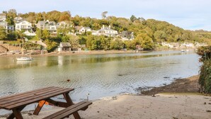 A riverside view with a picnic table and houses along the riverbank. - Junket Cottage (Plymouth)