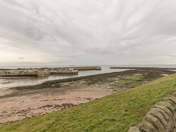 A coastal landscape with a grassy hill, rocky shore, and a calm sea under a cloudy sky. - Crumstone Corner (Seahouses)