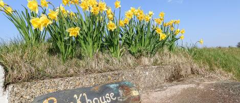 平房 | 住宿內部