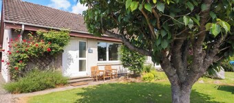 Steam Cottage