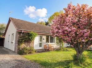 A single-story house with a tiled roof, a front porch with a bench, and a small garden with a flowering tree. - Steam Cottage (Aviemore)